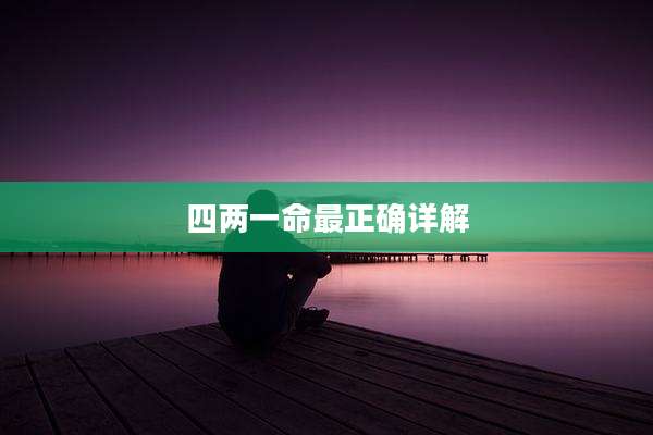 四两一命最正确详解