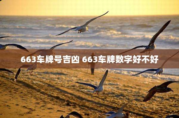 663车牌号吉凶 663车牌数字好不好