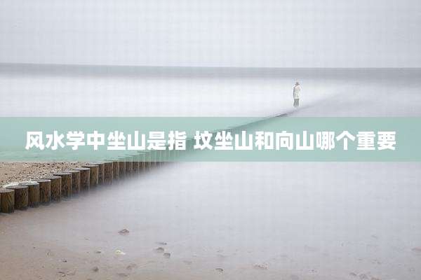 风水学中坐山是指 坟坐山和向山哪个重要