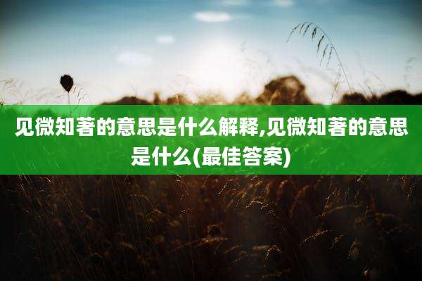 见微知著的意思是什么解释,见微知著的意思是什么(最佳答案)