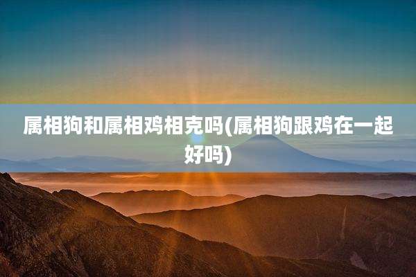 属相狗和属相鸡相克吗(属相狗跟鸡在一起好吗)