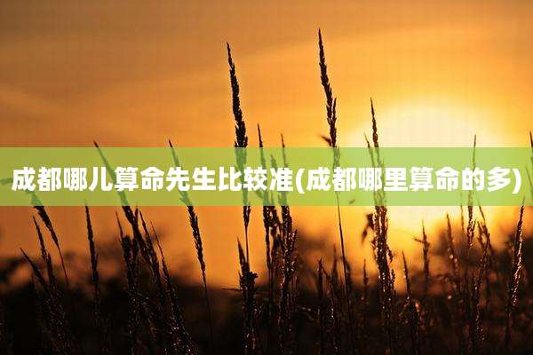 成都哪儿算命先生比较准(成都哪里算命的多)