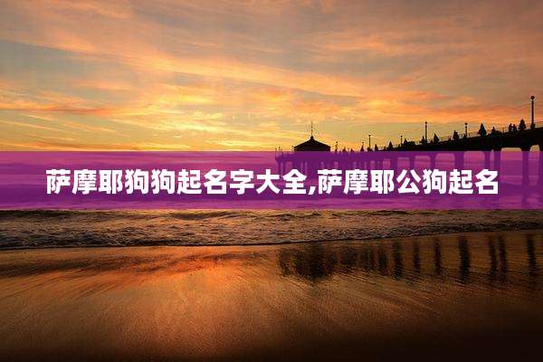 萨摩耶狗狗起名字大全,萨摩耶公狗起名