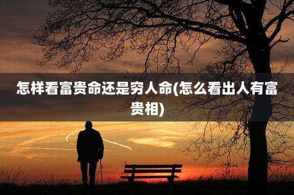 怎样看富贵命还是穷人命(怎么看出人有富贵相)