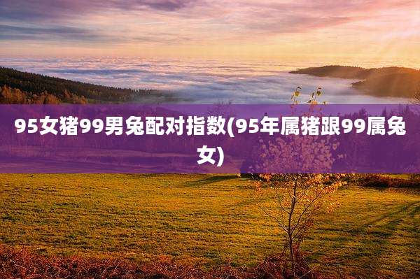 95女猪99男兔配对指数(95年属猪跟99属兔女)