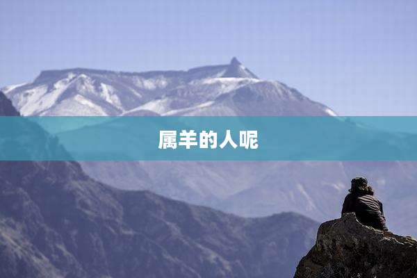 属羊的人呢