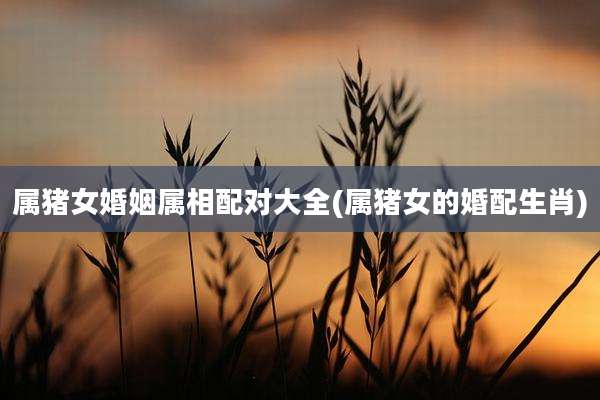 属猪女婚姻属相配对大全(属猪女的婚配生肖)