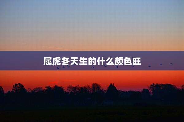属虎冬天生的什么颜色旺