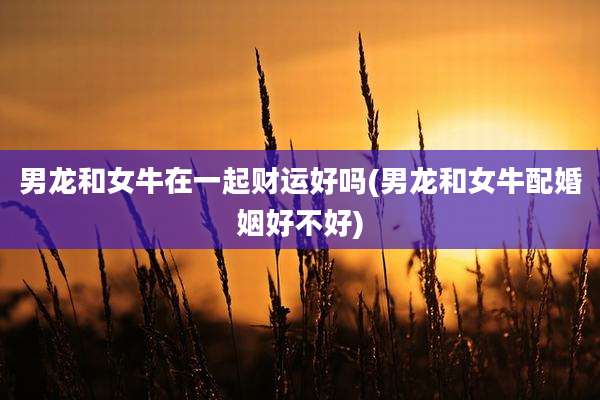 男龙和女牛在一起财运好吗(男龙和女牛配婚姻好不好)