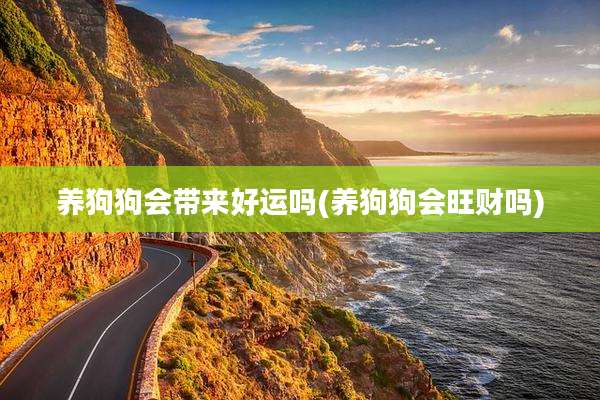 养狗狗会带来好运吗(养狗狗会旺财吗)