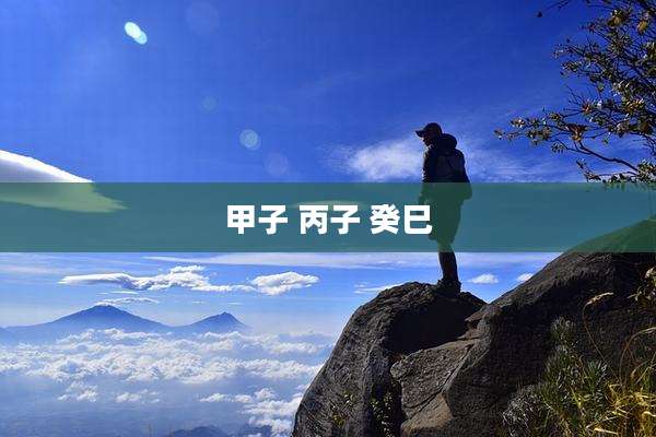 甲子 丙子 癸巳