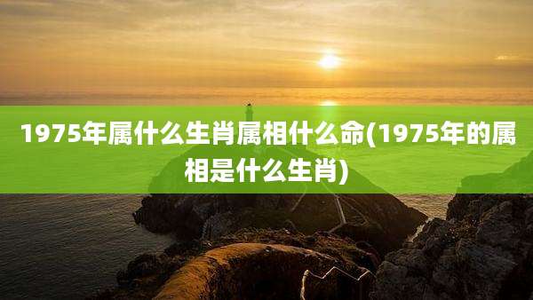 1975年属什么生肖属相什么命(1975年的属相是什么生肖)