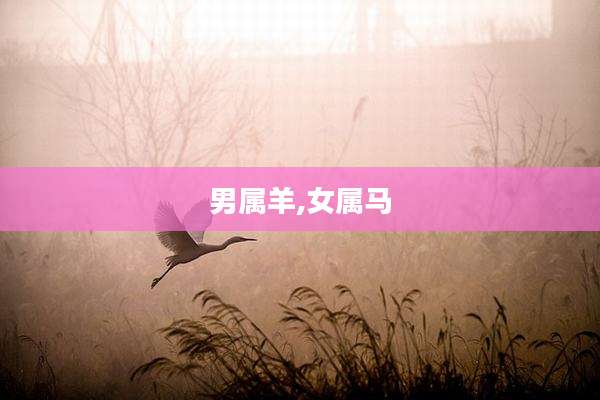 男属羊,女属马