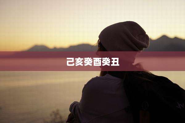 己亥癸酉癸丑