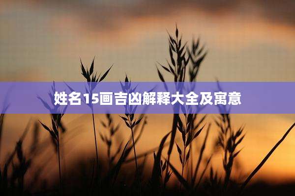 姓名15画吉凶解释大全及寓意