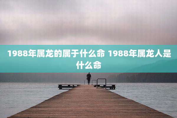 1988年属龙的属于什么命 1988年属龙人是什么命