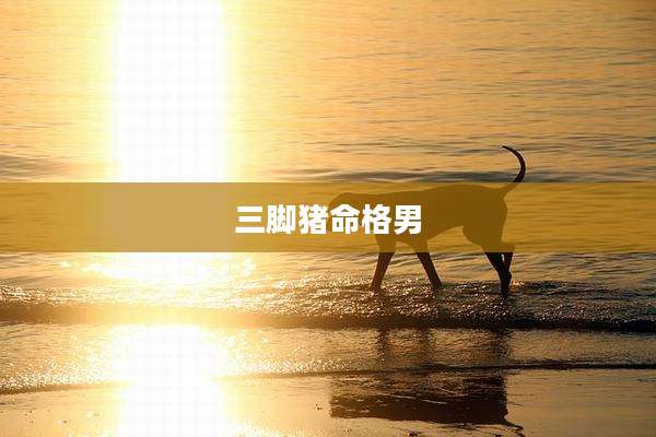 三脚猪命格男