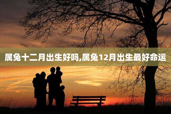 属兔十二月出生好吗,属兔12月出生最好命运