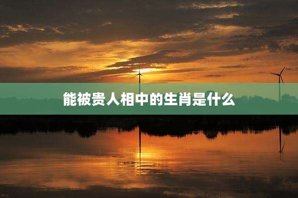 能被贵人相中的生肖是什么