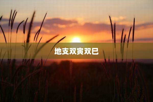 地支双寅双巳