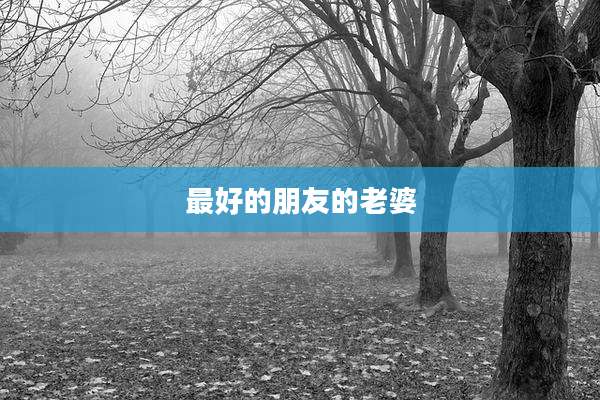 最好的朋友的老婆
