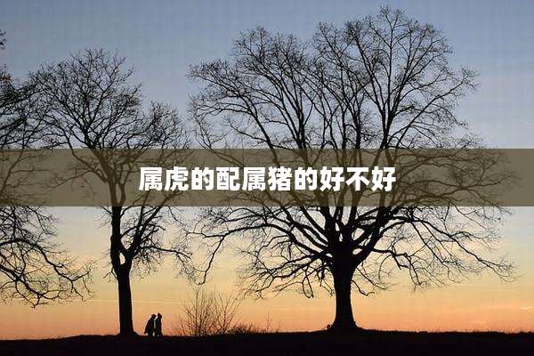 属虎的配属猪的好不好