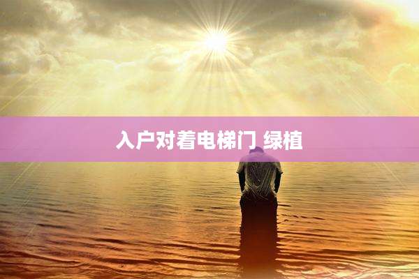 入户对着电梯门 绿植