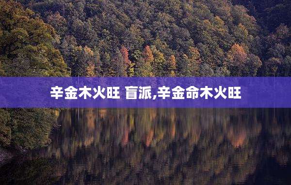 辛金木火旺 盲派,辛金命木火旺