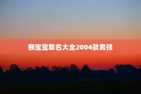 猴宝宝取名大全2004款男孩