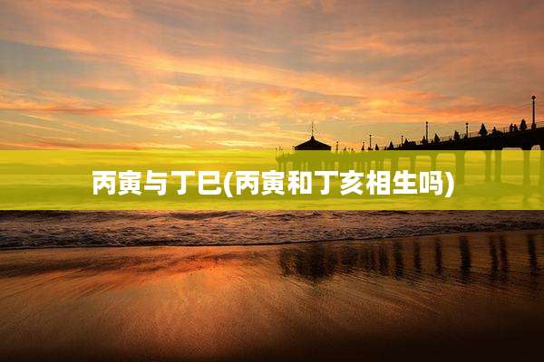 丙寅与丁巳(丙寅和丁亥相生吗)