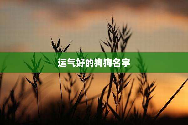 运气好的狗狗名字