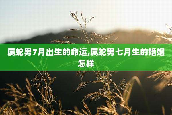 属蛇男7月出生的命运,属蛇男七月生的婚姻怎样