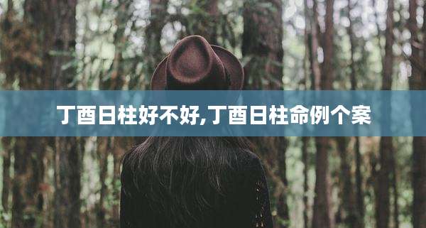丁酉日柱好不好,丁酉日柱命例个案