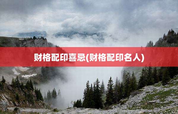 财格配印喜忌(财格配印名人)