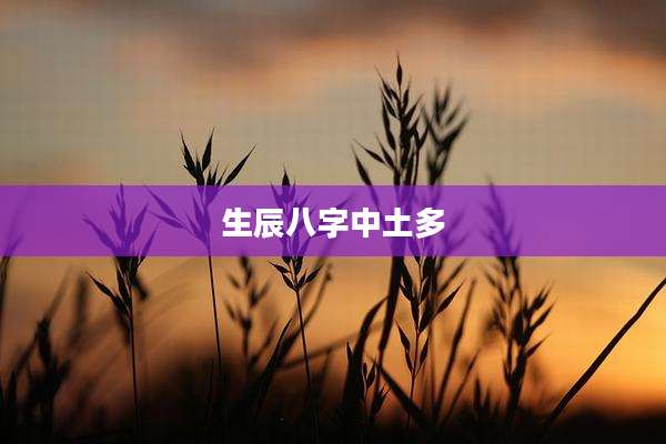 生辰八字中土多