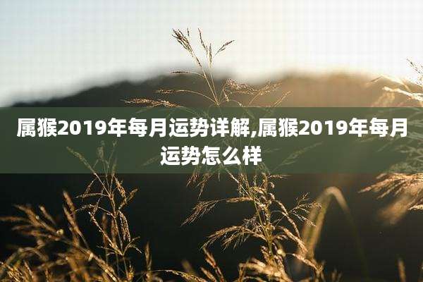 属猴2019年每月运势详解,属猴2019年每月运势怎么样