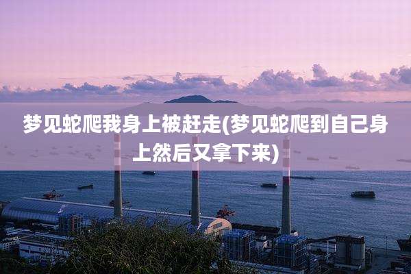 梦见蛇爬我身上被赶走(梦见蛇爬到自己身上然后又拿下来)