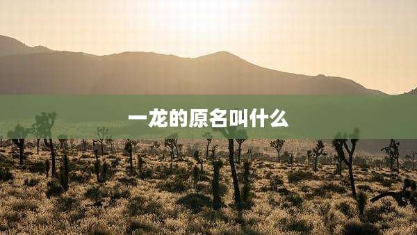一龙的原名叫什么