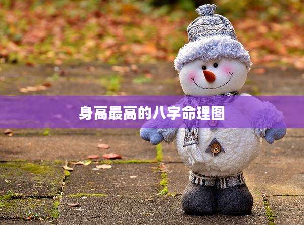 身高最高的八字命理图