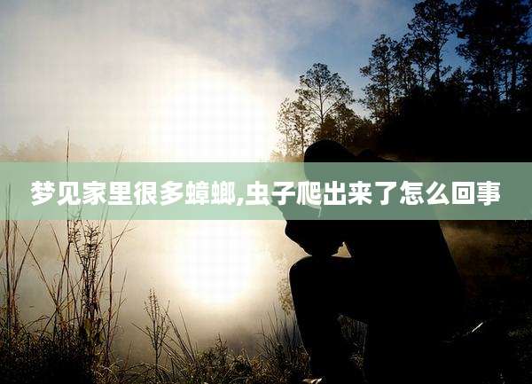 梦见家里很多蟑螂,虫子爬出来了怎么回事