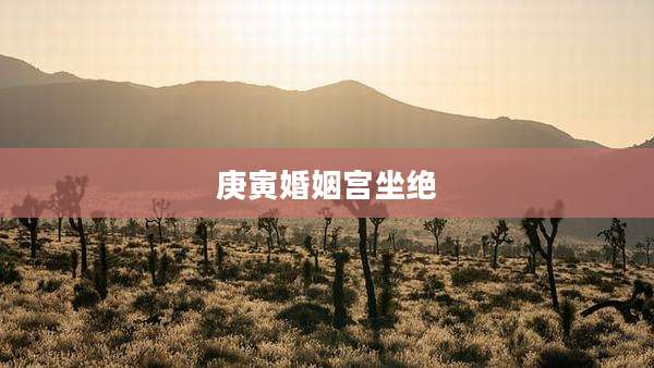 庚寅婚姻宫坐绝