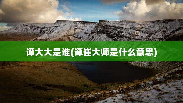 谭大大是谁(谭崔大师是什么意思)