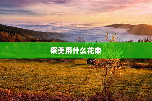 祭奠用什么花束
