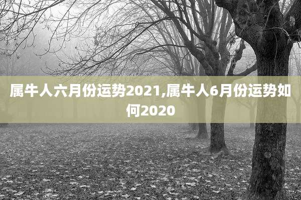 属牛人六月份运势2021,属牛人6月份运势如何2020
