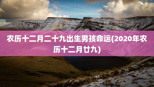 农历十二月二十九出生男孩命运(2020年农历十二月廿九)