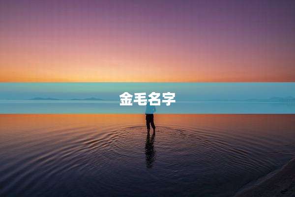 金毛名字