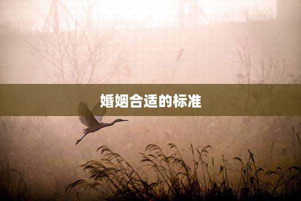 婚姻合适的标准
