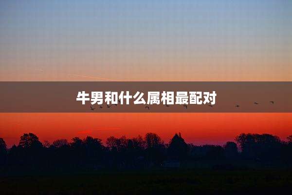 牛男和什么属相最配对