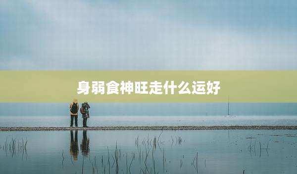 身弱食神旺走什么运好
