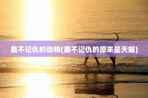 最不记仇的动物(最不记仇的原来是天蝎)